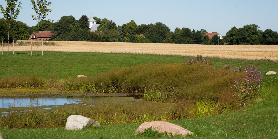 Grønne områder i Sabro