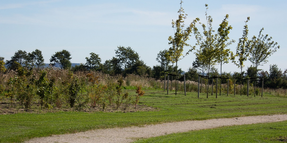Grønne områder i Sabro